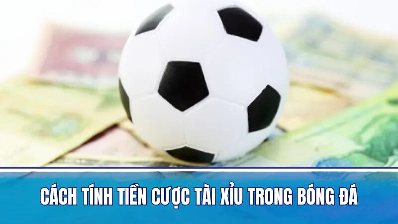 Cách tính tiền cược tài xỉu