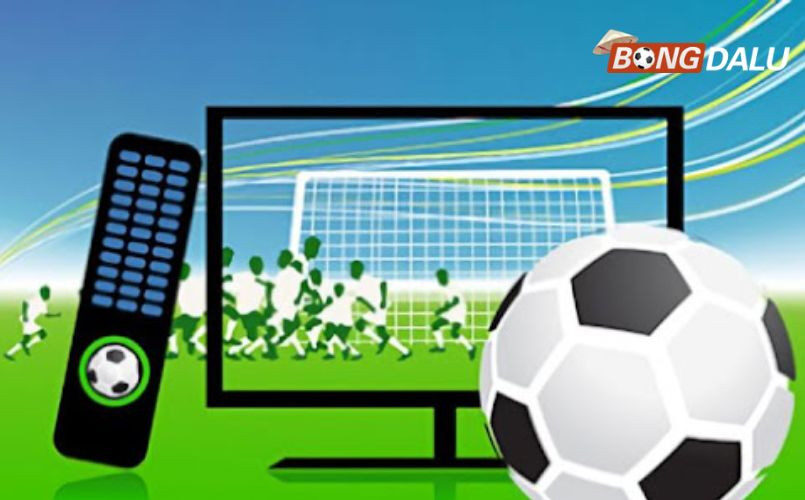 Chiến thắng nhà cái trong cá độ bóng đá