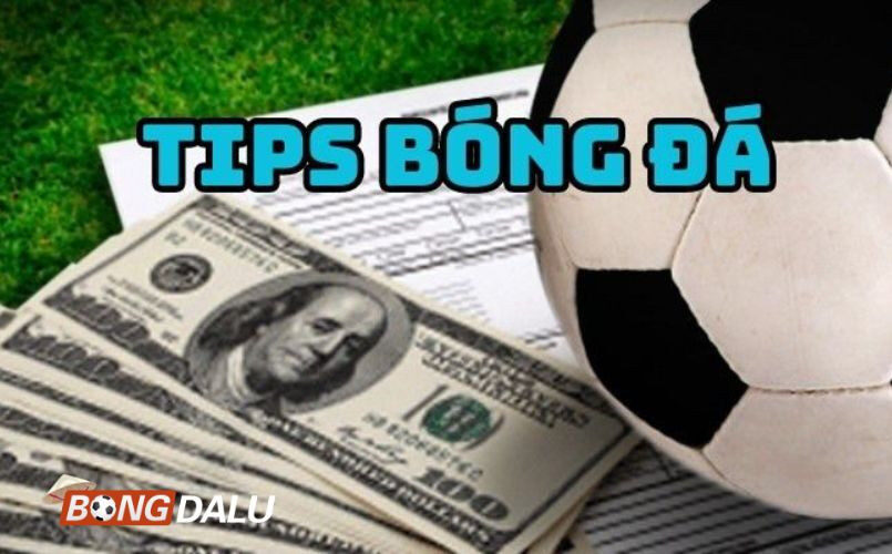 Có nhiều loại tips bóng đá phổ biến