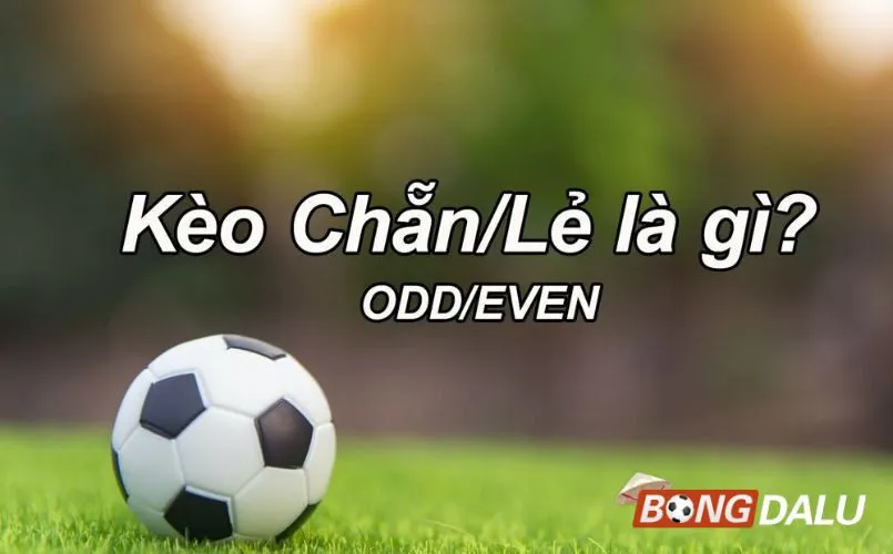 Giải thích về kèo chẵn lẻ