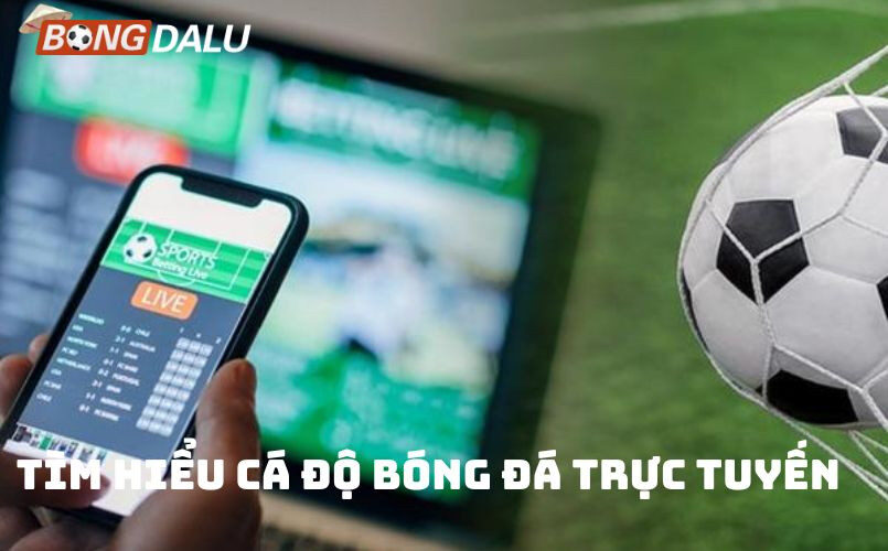 Giới thiệu về cá độ bóng đá trực tuyến