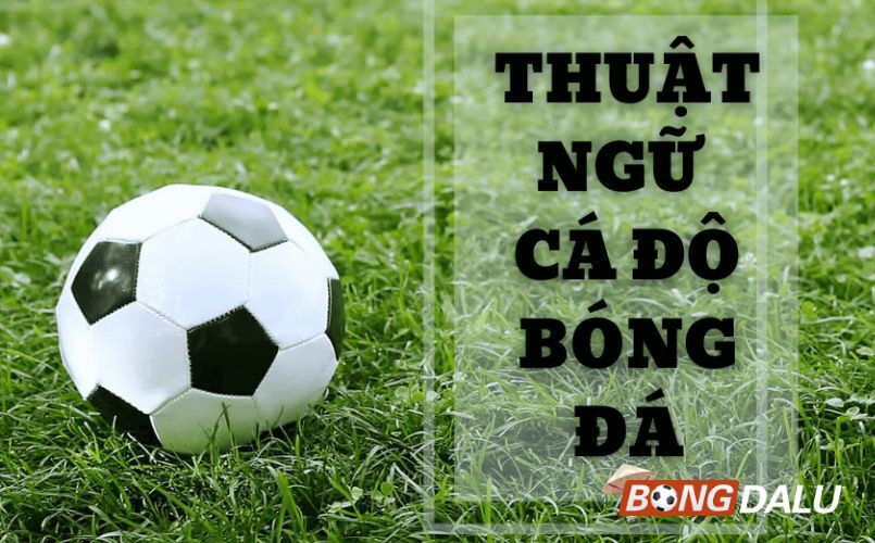 Hiểu rõ về thuật ngữ cá cược bóng đá giúp ích cho nhiều bet thủ
