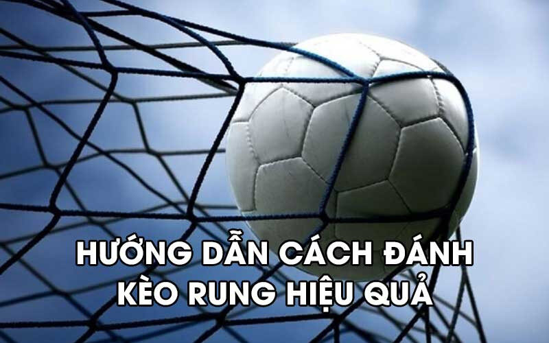 Hướng dẫn cách đánh kèo rung hiệu quả