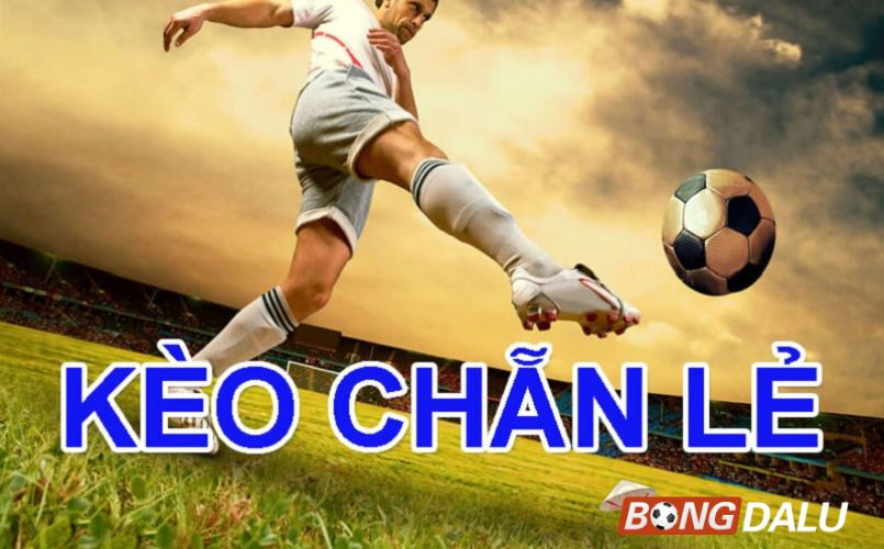 Hướng dẫn chi tiết về kèo chẵn lẻ