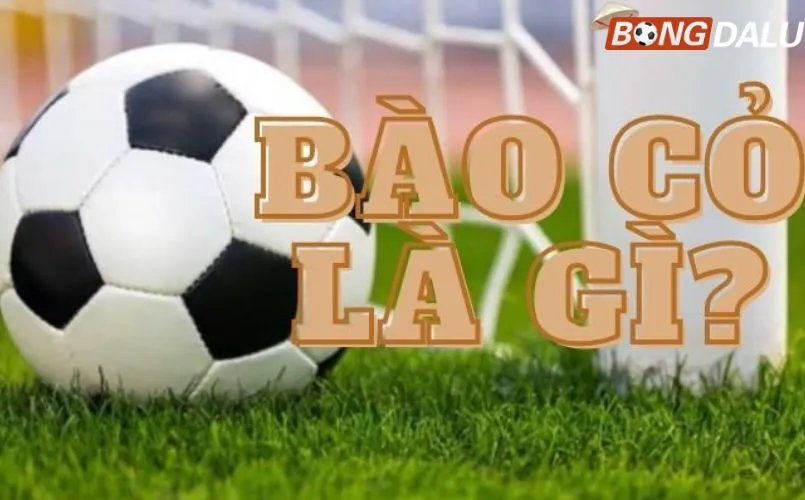 Khái niệm bào cỏ là gì?