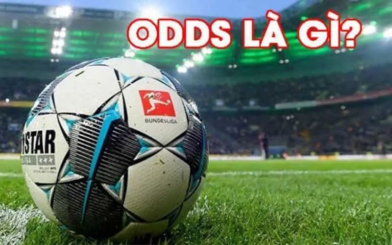 Khái niệm odds