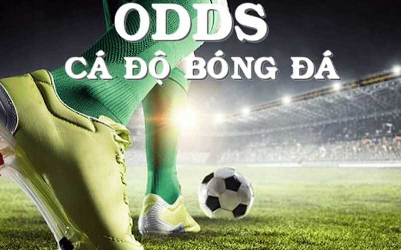 Kinh nghiệm soi odds hiệu quả
