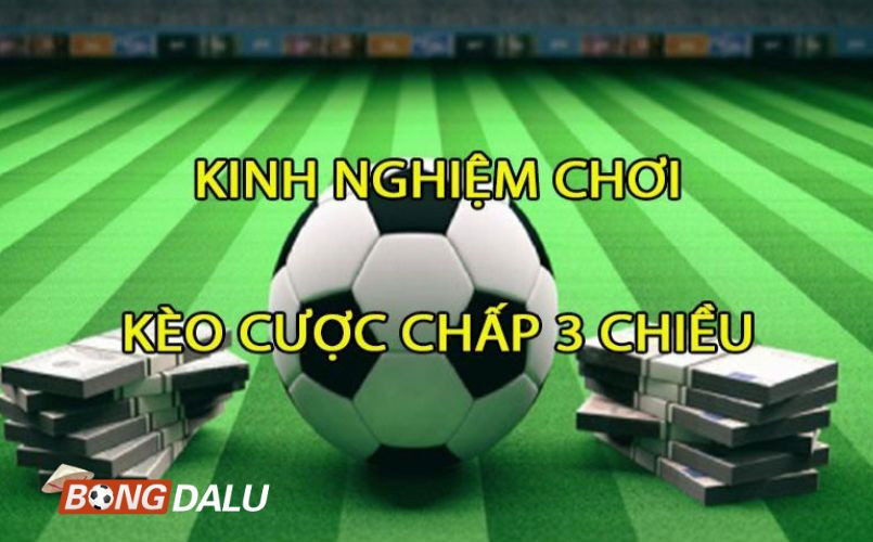 Kinh nghiệm từ các cao thủ cá cược