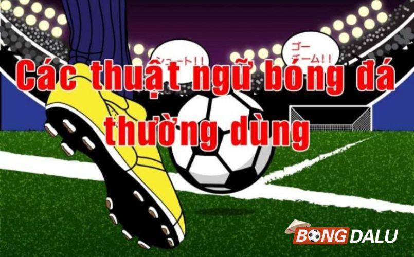 Những thuật ngữ cá cược bóng đá hay ho mà anh em phải nhanh chóng bỏ túi