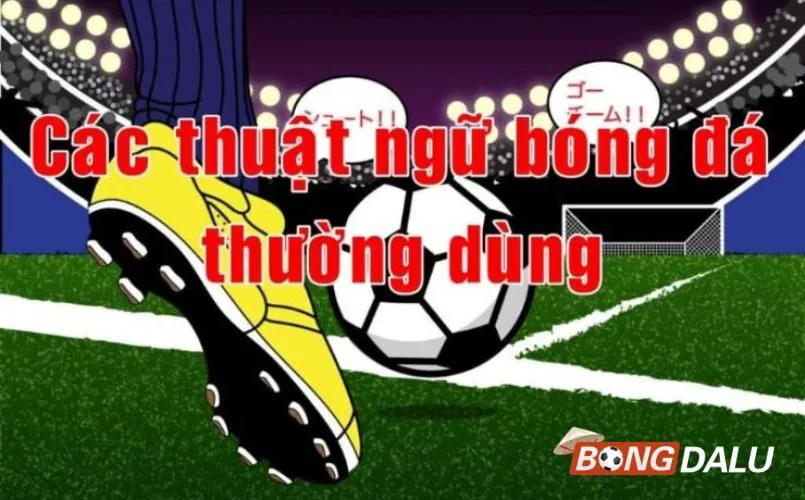 Những thuật ngữ cá cược bóng đá hay ho mà anh em phải nhanh chóng bỏ túi