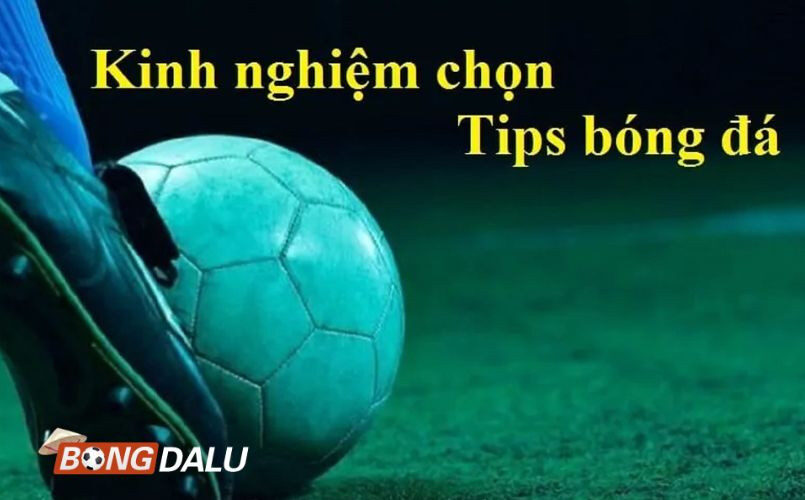 Những tips bóng đá mới lạ hay ho phục vụ cho anh em chơi kèo