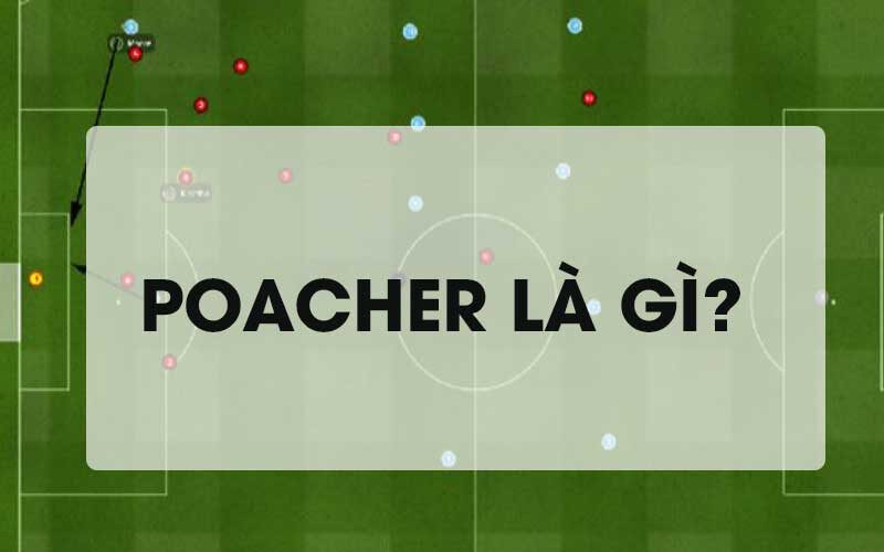 Poacher là gì?