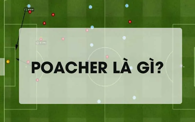 Poacher là gì?