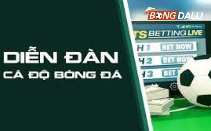 Tham gia sớm mang lại nhiều lợi ích