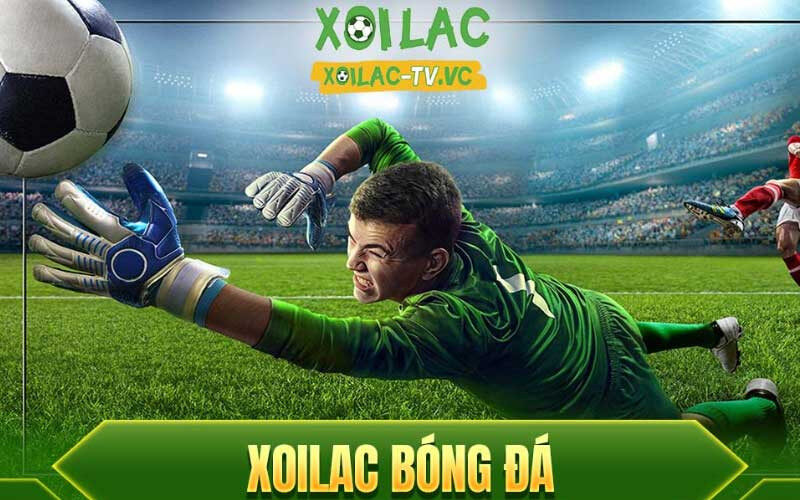 Top các ứng dụng xem bóng đá: Xoilac