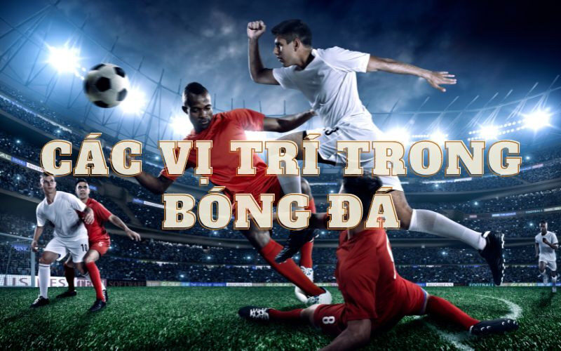 Vị trí trong bóng đá: Vai trò và nhiệm vụ